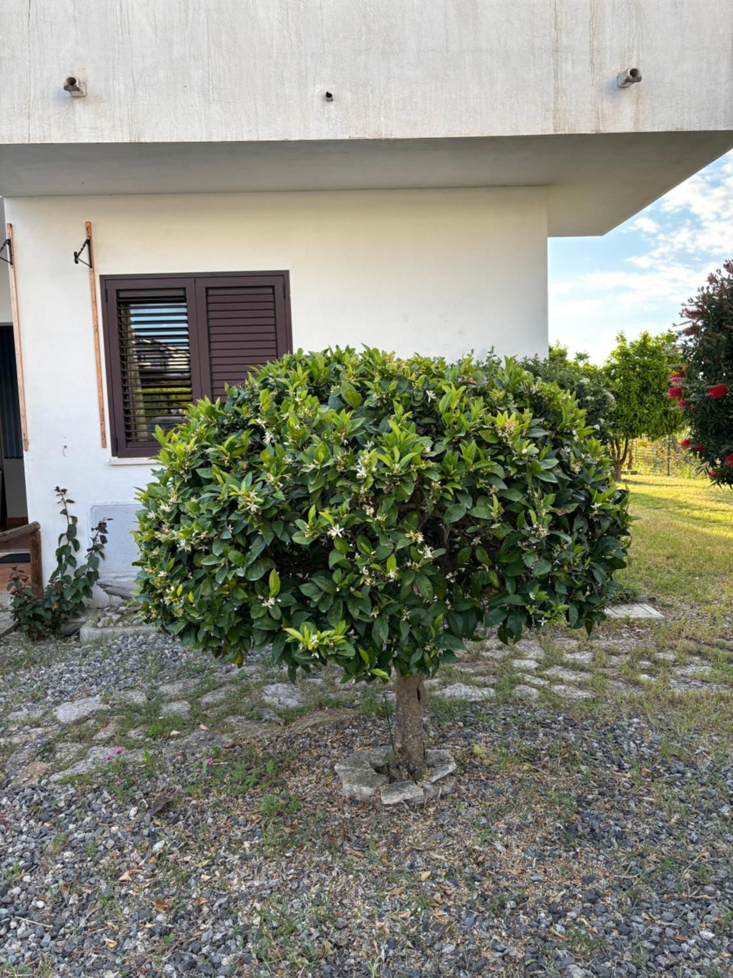 Apartment F24 Stignano Favaco Foca Экстерьер фото