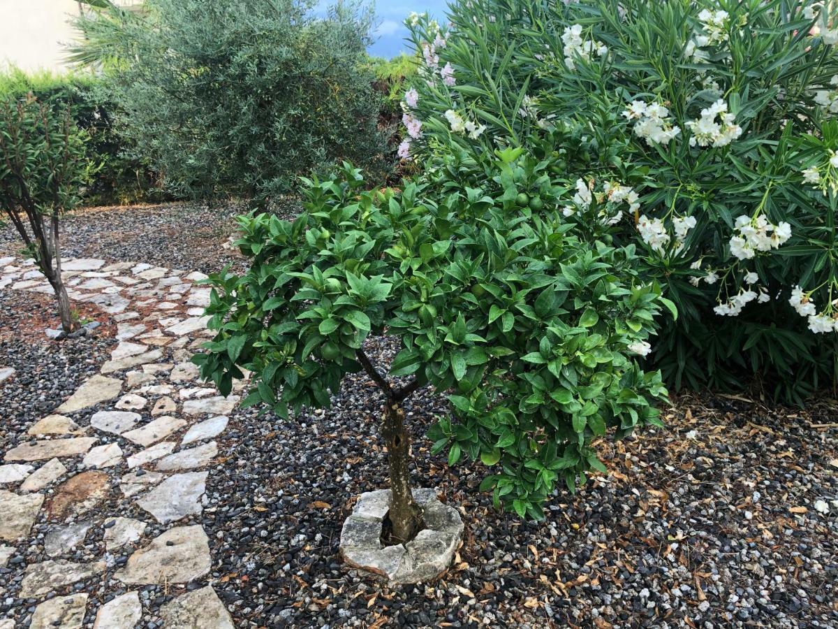 Apartment F24 Stignano Favaco Foca Экстерьер фото